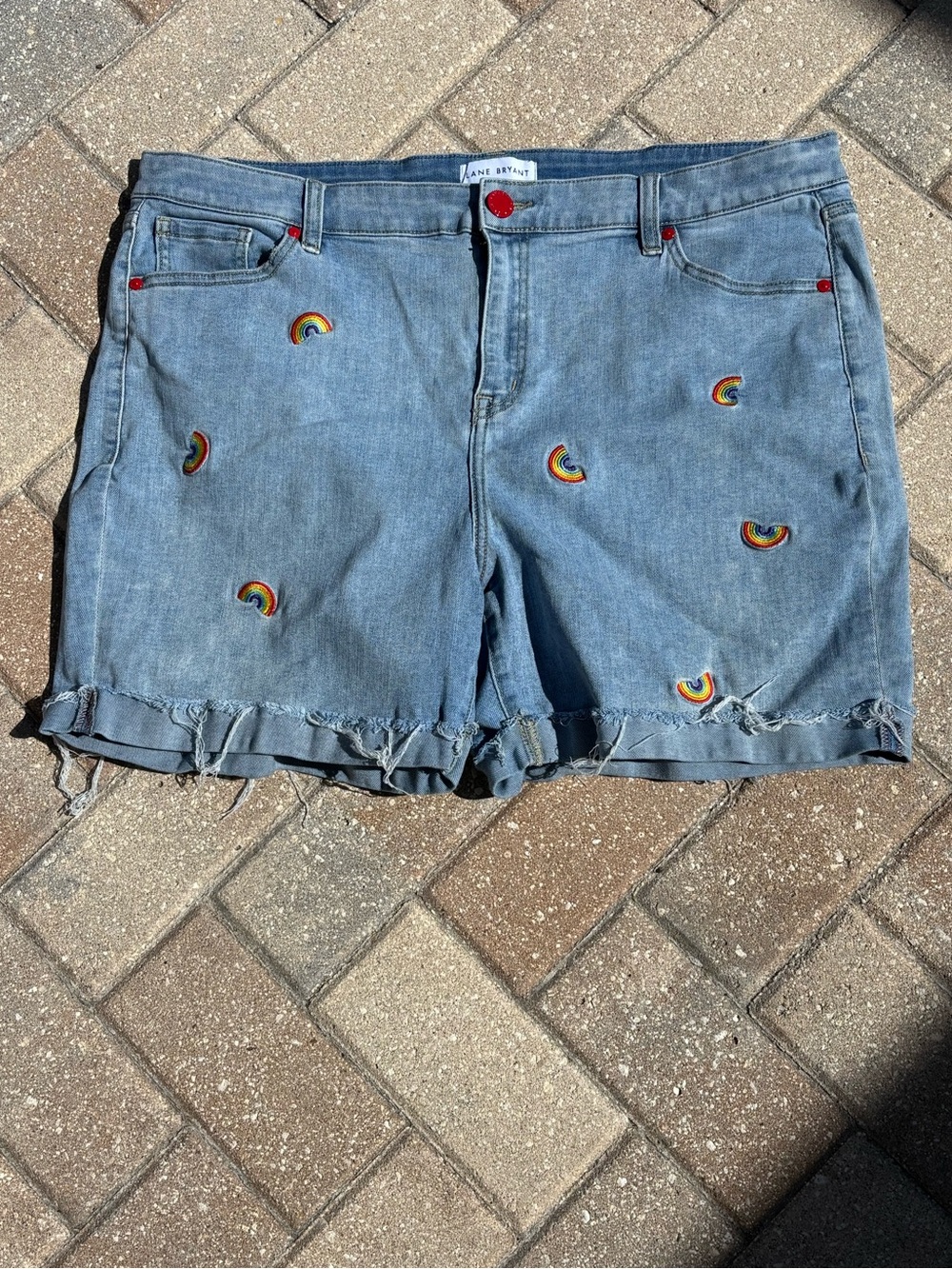 Lane Bryant Light Blue Denim Shorts with Rainbow Embroidery